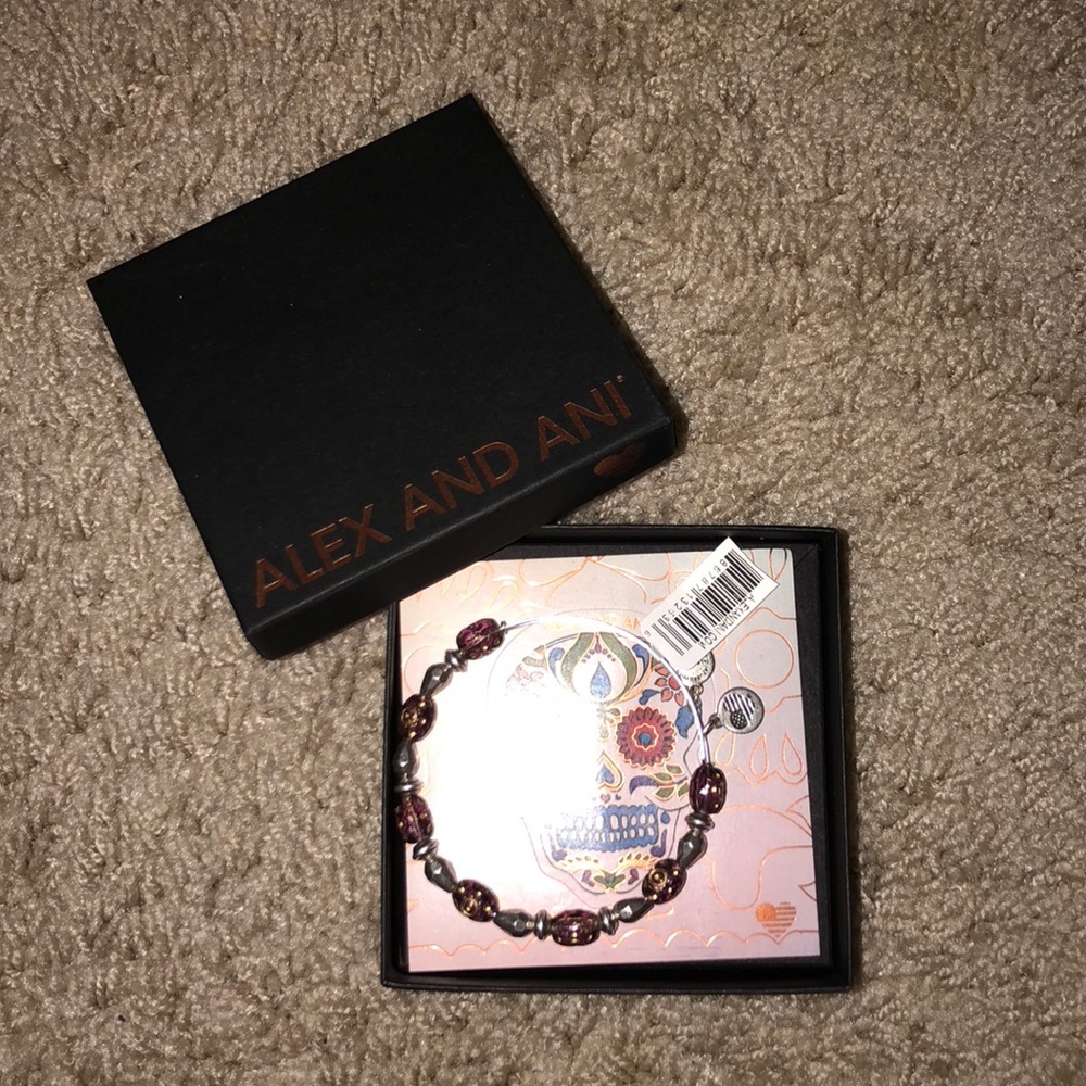 Alex and Ani bracelet NWT